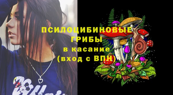трава Зеленодольск
