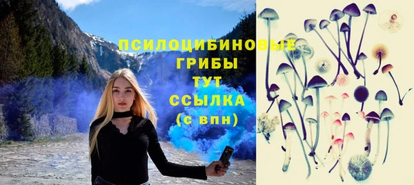 дживик Зеленокумск